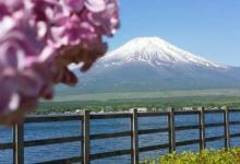 富士山下和爱情转移区别