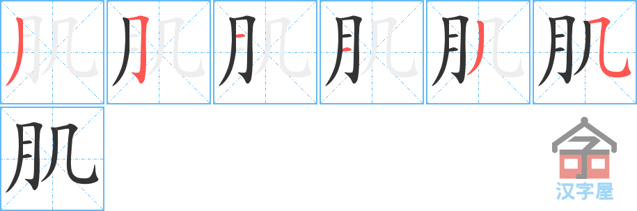 《肌》的笔顺分步演示（一笔一画写字）