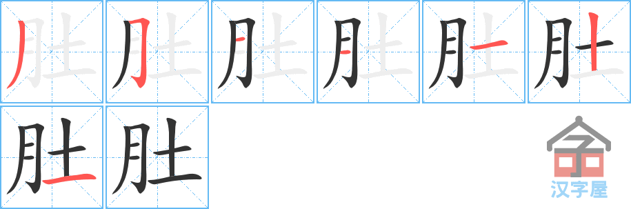 《肚》的笔顺分步演示（一笔一画写字）