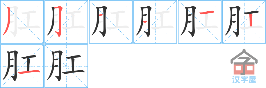 《肛》的笔顺分步演示（一笔一画写字）