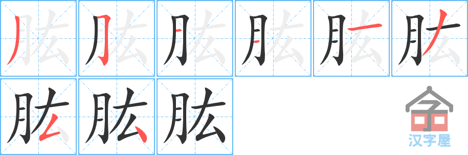 《肱》的笔顺分步演示（一笔一画写字）