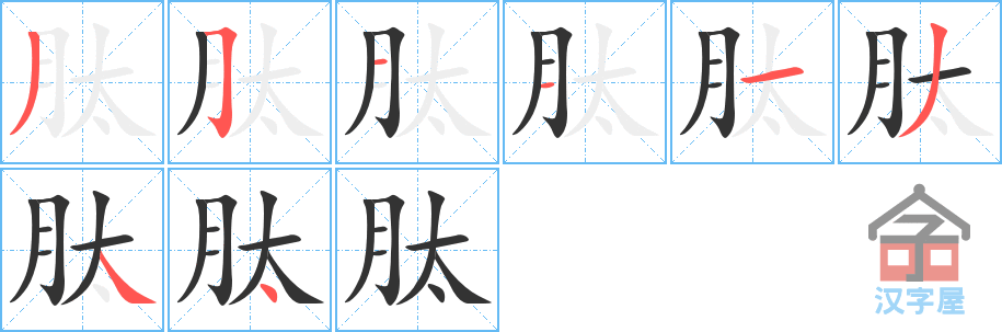 《肽》的笔顺分步演示（一笔一画写字）