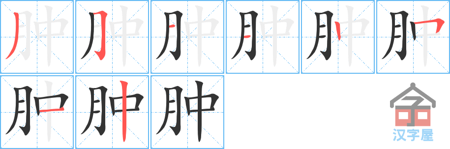 《肿》的笔顺分步演示（一笔一画写字）